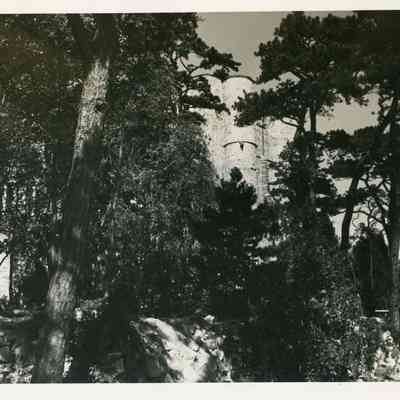 1930-1965 ocean lawn through trees near arch