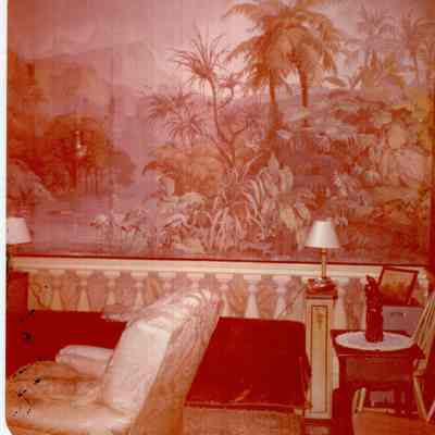Green Painted Couch-Sofa Bed