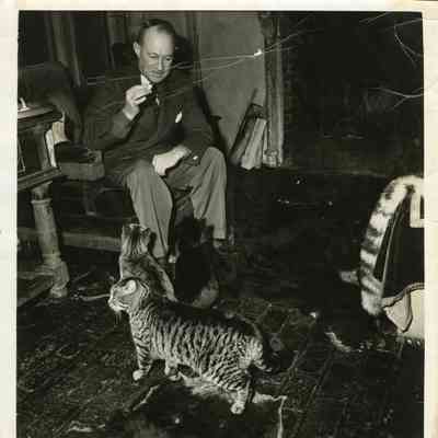 JHHJr with cats