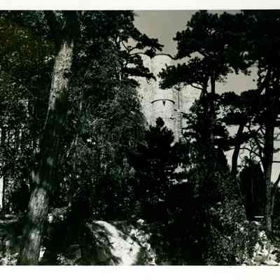 1930-1965 ocean side facade through trees