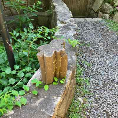 OUT-49.3 arch piece - voussoir in cat garden (1)