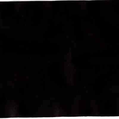 SCRB-1 p(16) blank