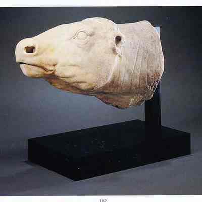 Cow's Head (on fountain of cat garden)