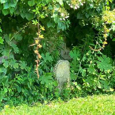 OUT-8 earlier drawbridge lion in lookout garden