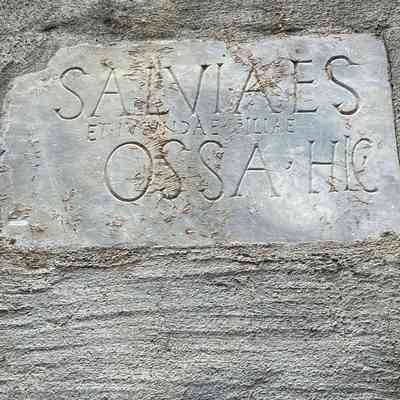 Epitaph of Salvia and Lucunda