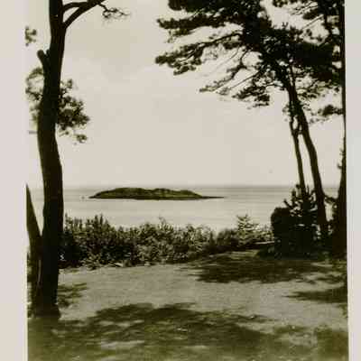 Ocean View Front Lawn with Trees