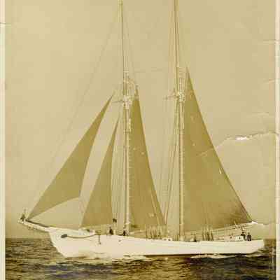 Odysseus III
