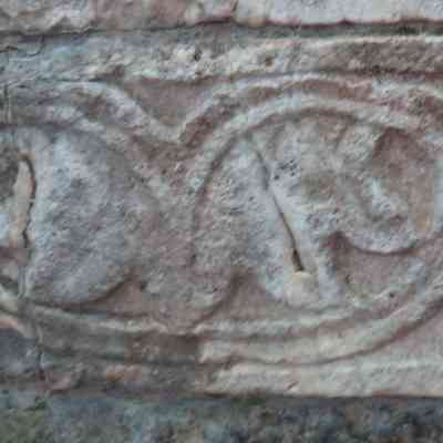 Left base, right side