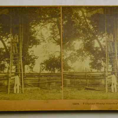 Stereograph