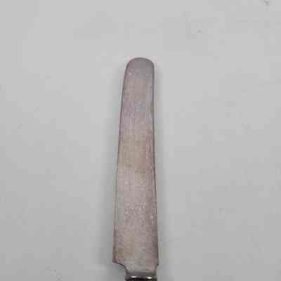 Blade of silver dinner knife