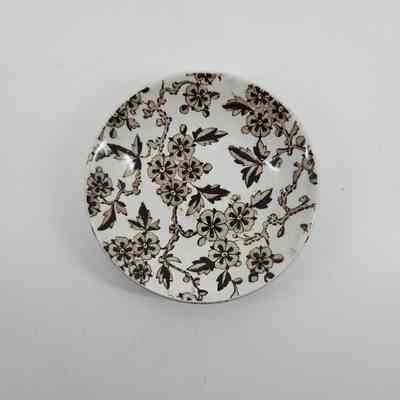 Saucer