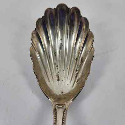 Head of silver serving spoon