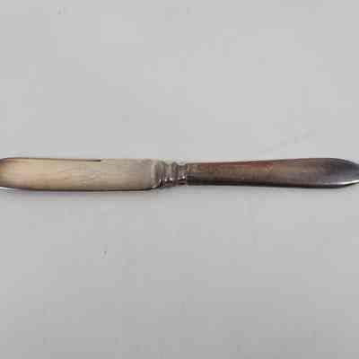 Fruit Knife