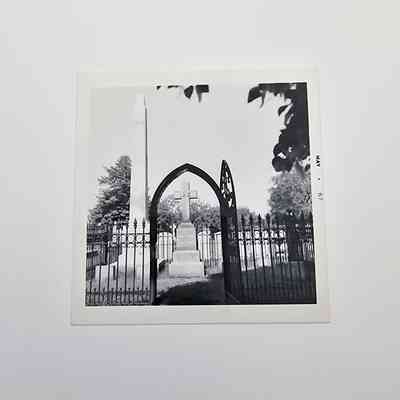 Photograph