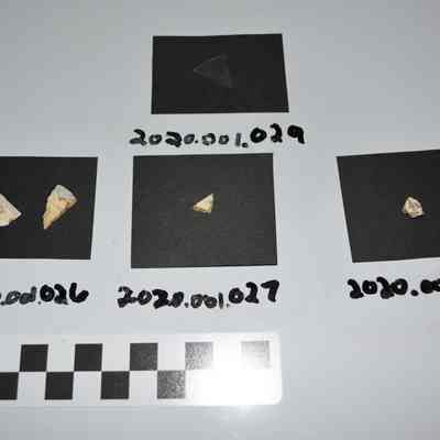 Sherd - 2020.001.028: Origformat: Artifact