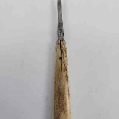 Split in bone handle