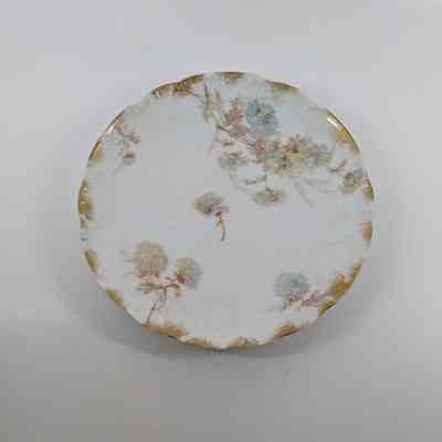Plate, Salad