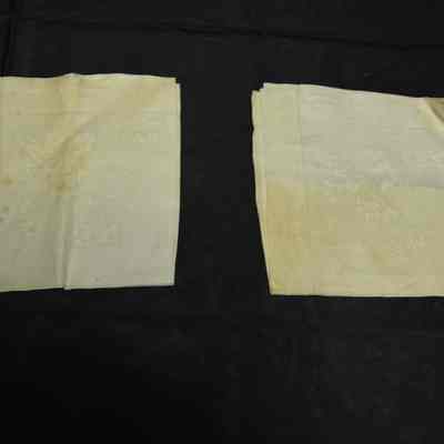 Napkin
