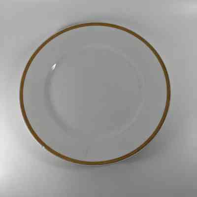 Dinner Plate
