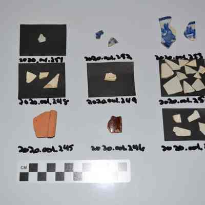 Sherd