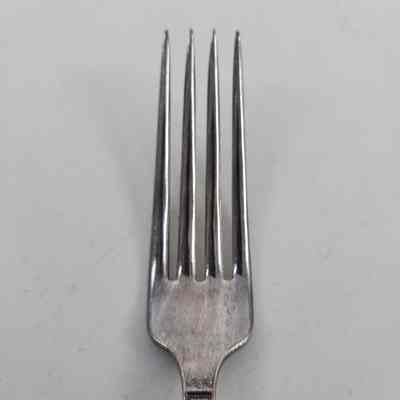 Tines of silver dinner fork
