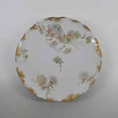 Plate, Salad