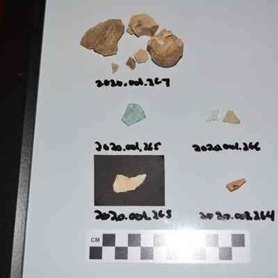 Fragment