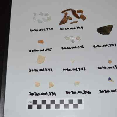 Sherd