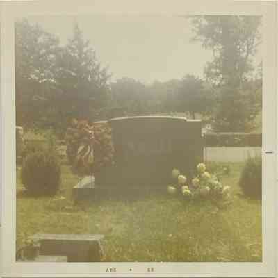 Photograph
