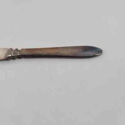 Handle of fruit knife
