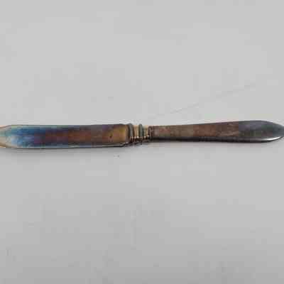 Fruit Knife