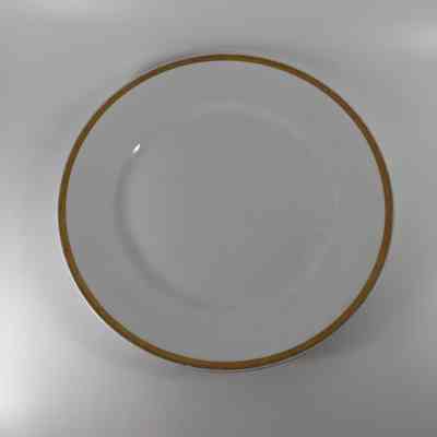Dinner Plate