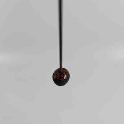 Accession number lacquered onto the pinhead