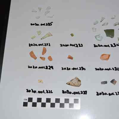 Fragment