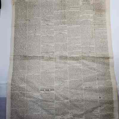 Newspaper Article