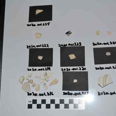 Sherd
