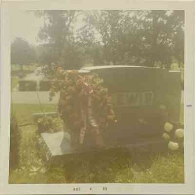 Photograph