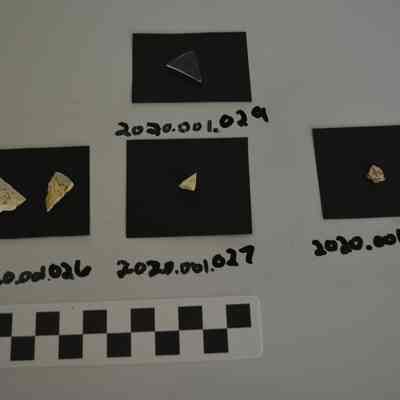 Sherd