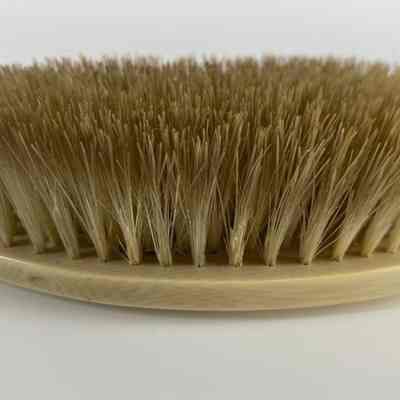 Bristles