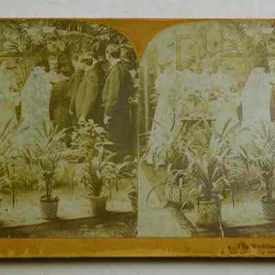 Stereograph