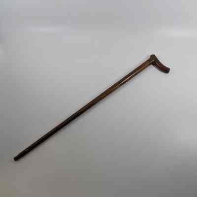 Cane