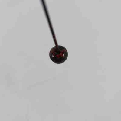 Accession number "86.557" lacquered onto bottom of pinhead