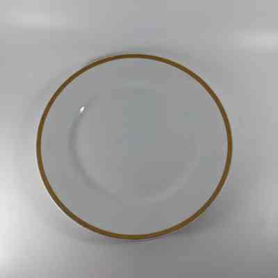 Dinner Plate