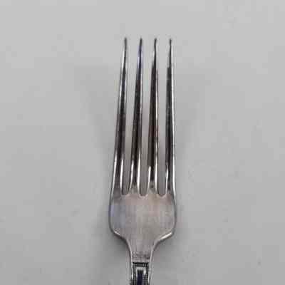 Tines of silver dinner fork
