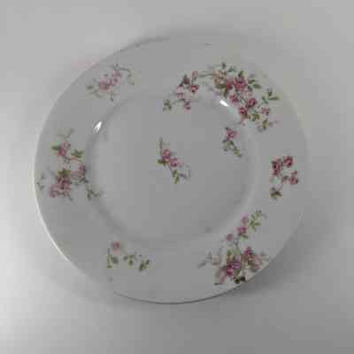 Salad Plate