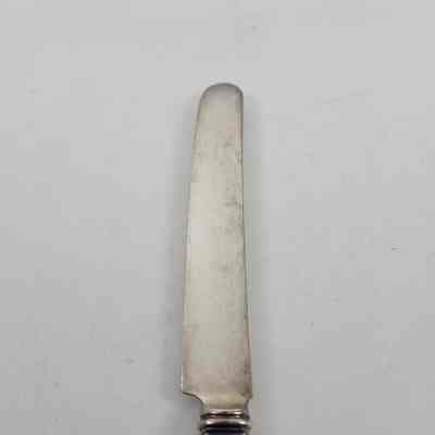 Blade of silver dinner knife