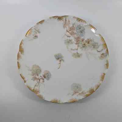 Plate, Salad