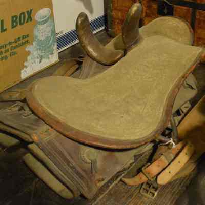 Sidesaddle