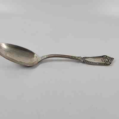 Dessert Spoon