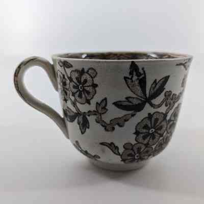 Teacup
